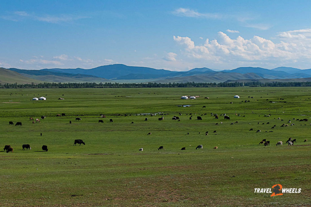 Stuttgart-Nepal 2018: Mongolei 2